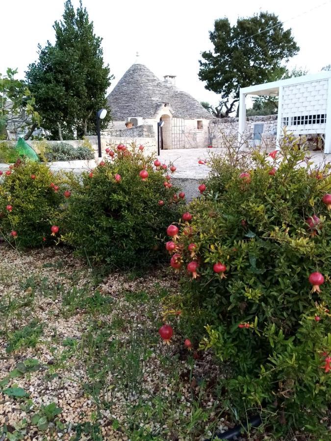 Trullo Monte Del Sale Pensionat Alberobello Eksteriør billede